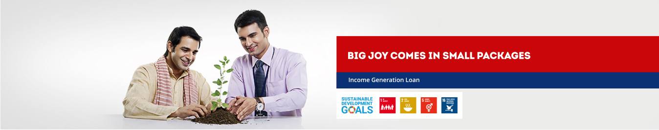 Banner image of Income Generation Loan (IGL)