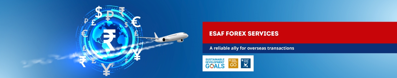 banner image of Foreign Exchange